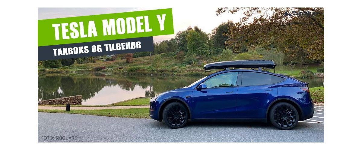 Tesla model Y med Skiguard 830S takboks
